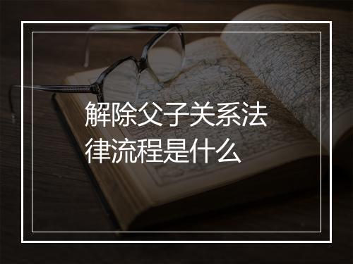 解除父子关系法律流程是什么
