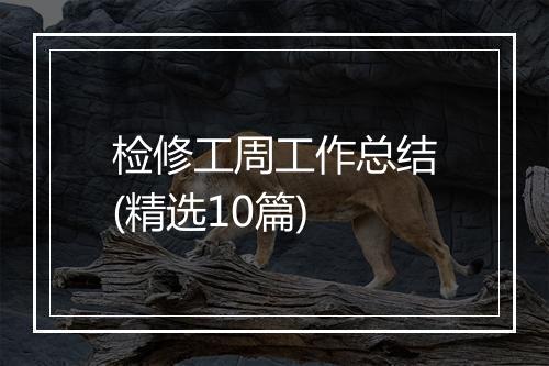 检修工周工作总结(精选10篇)