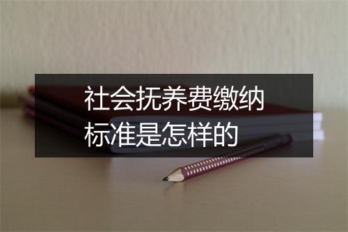 社会抚养费缴纳标准是怎样的