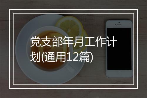党支部年月工作计划(通用12篇)