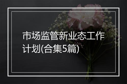 市场监管新业态工作计划(合集5篇)
