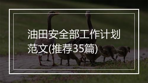 油田安全部工作计划范文(推荐35篇)