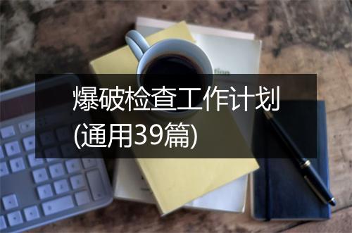 爆破检查工作计划(通用39篇)