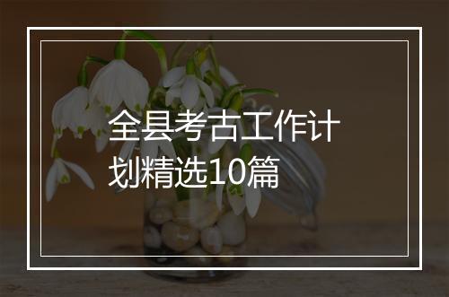 全县考古工作计划精选10篇