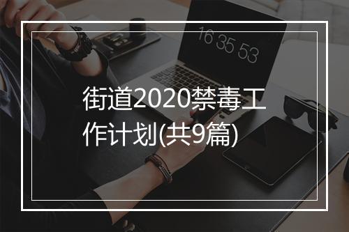 街道2020禁毒工作计划(共9篇)