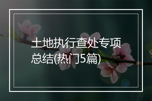 土地执行查处专项总结(热门5篇)