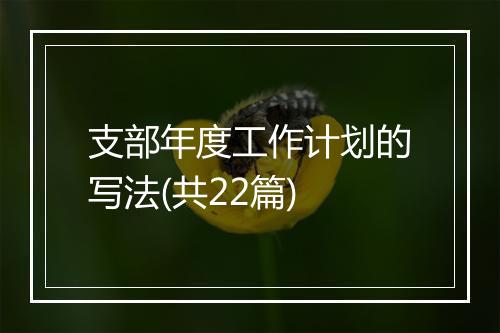 支部年度工作计划的写法(共22篇)