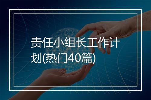 责任小组长工作计划(热门40篇)