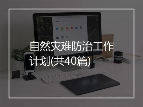 自然灾难防治工作计划(共40篇)