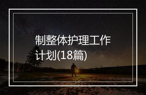 制整体护理工作计划(18篇)