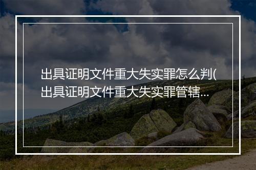 出具证明文件重大失实罪怎么判(出具证明文件重大失实罪管辖)