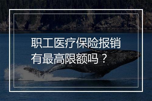 职工医疗保险报销有最高限额吗？