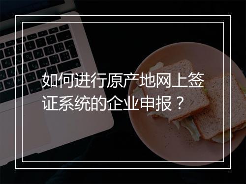 如何进行原产地网上签证系统的企业申报？