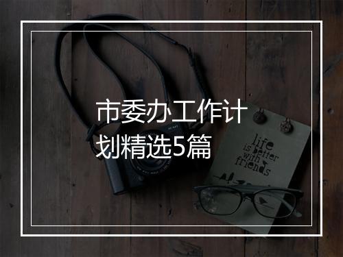 市委办工作计划精选5篇