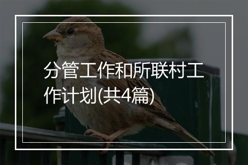 分管工作和所联村工作计划(共4篇)