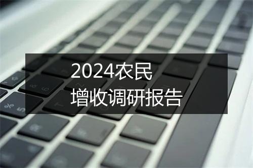 2024农民增收调研报告