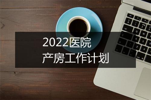 2022医院产房工作计划