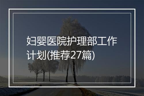 妇婴医院护理部工作计划(推荐27篇)