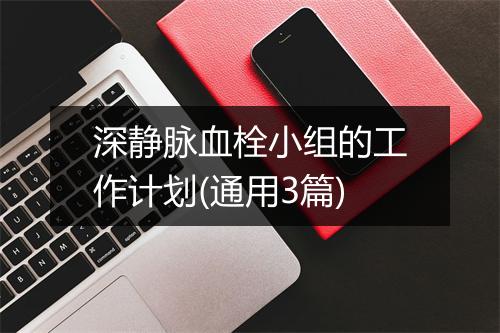 深静脉血栓小组的工作计划(通用3篇)