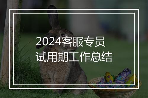 2024客服专员试用期工作总结