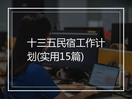 十三五民宿工作计划(实用15篇)