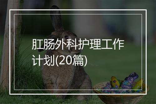 肛肠外科护理工作计划(20篇)