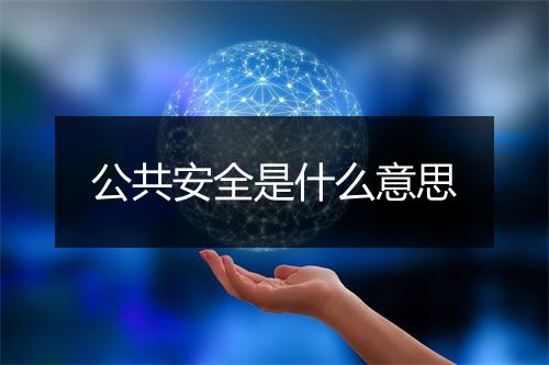 公共安全是什么意思