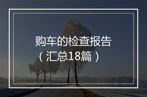 购车的检查报告（汇总18篇）