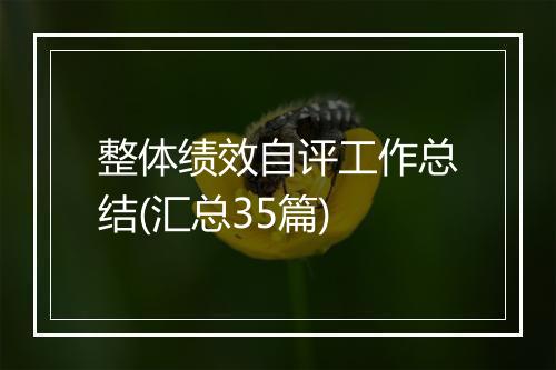 整体绩效自评工作总结(汇总35篇)