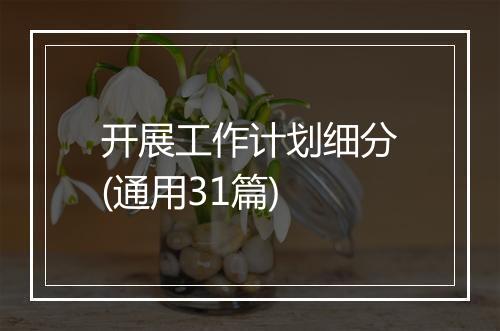 开展工作计划细分(通用31篇)