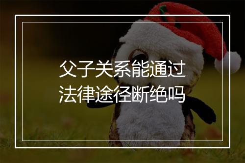 父子关系能通过法律途径断绝吗