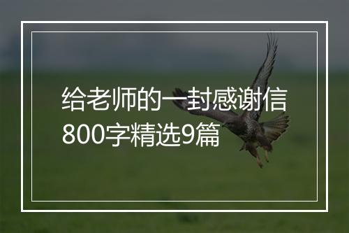 给老师的一封感谢信800字精选9篇