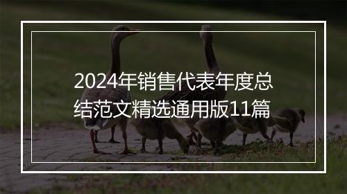 2024年销售代表年度总结范文精选通用版11篇