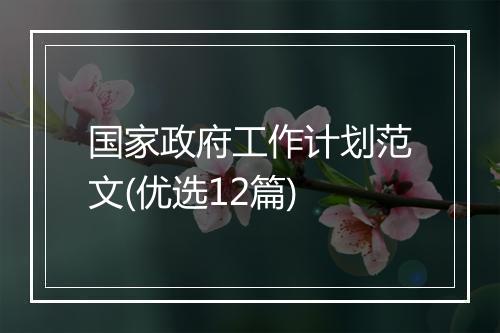国家政府工作计划范文(优选12篇)