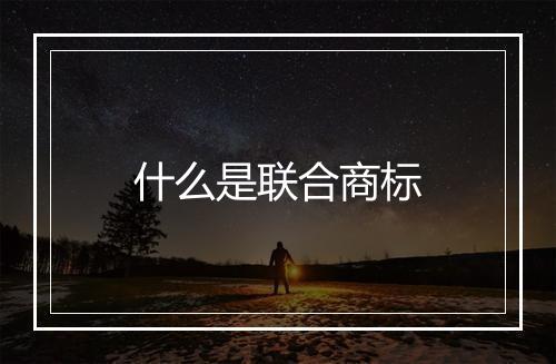 什么是联合商标
