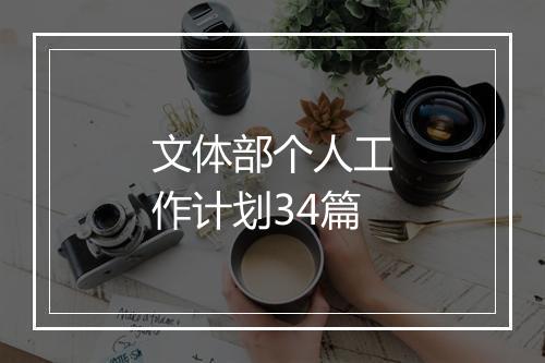 文体部个人工作计划34篇
