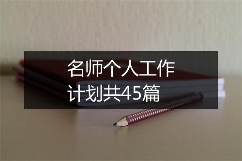 名师个人工作计划共45篇