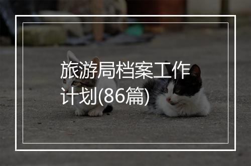 旅游局档案工作计划(86篇)