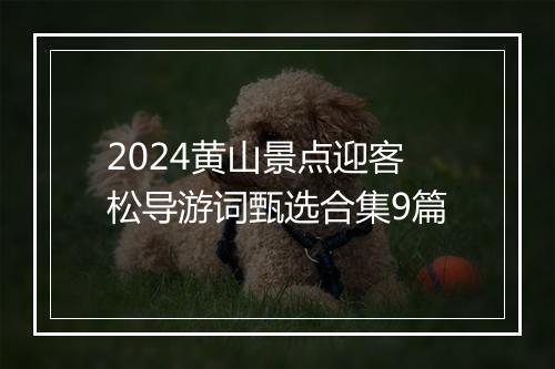 2024黄山景点迎客松导游词甄选合集9篇