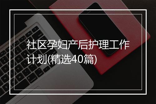 社区孕妇产后护理工作计划(精选40篇)