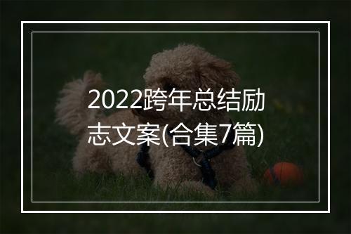 2022跨年总结励志文案(合集7篇)