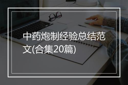中药炮制经验总结范文(合集20篇)
