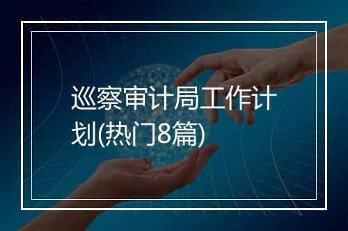 巡察审计局工作计划(热门8篇)