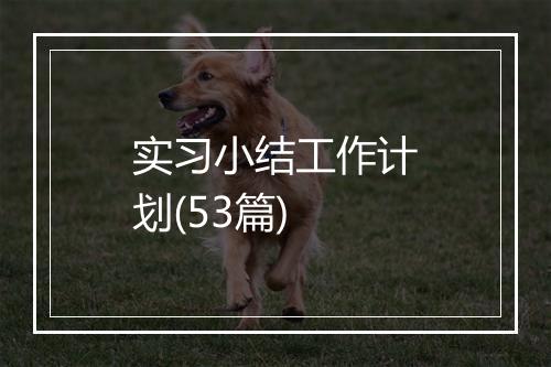 实习小结工作计划(53篇)