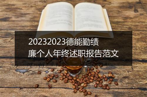 20232023德能勤绩廉个人年终述职报告范文