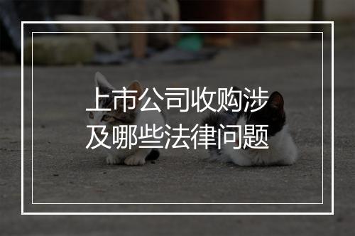 上市公司收购涉及哪些法律问题