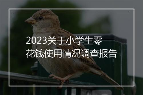 2023关于小学生零花钱使用情况调查报告