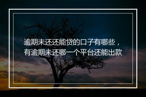 逾期未还还能贷的口子有哪些，有逾期未还哪一个平台还能出款