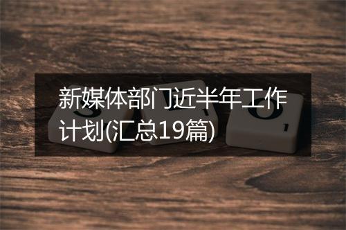 新媒体部门近半年工作计划(汇总19篇)