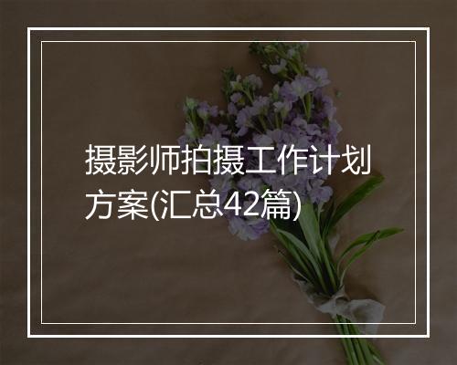 摄影师拍摄工作计划方案(汇总42篇)